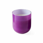 pop_candle_plum_a_0ff1610e-0f08-4db3-ba8c-1e3e76378c04